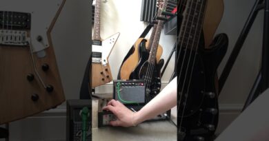 Clean(ish) tone demo #Fender Mini '65 Twin Amp + homemade spring reverb and Jaguar #guitar #shorts