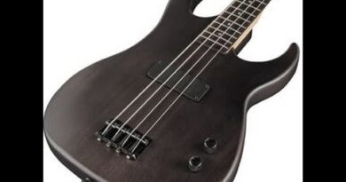 Dean Zone XM Bass Guitar Transparent Black  Review