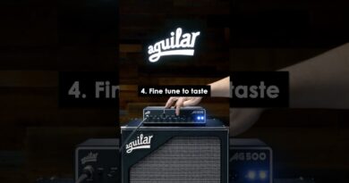 Dialing in a funky finger-style bass tone with the AG 500!