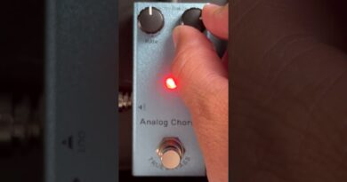 Discover the Beauty of Analog Chorus Pedals #guitar #chorus #effects