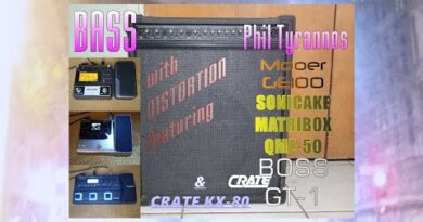 Distortion: Dressed in Bass Mooer GE100 into Sonicake Matribox QME 50 into Boss GT 1 S1E10