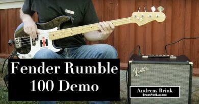 Fender Rumble 100 bass combo DEMO
