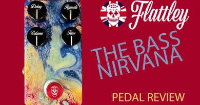 Flattley Bass Nirvana: the analogue delay - demo / pedal review
