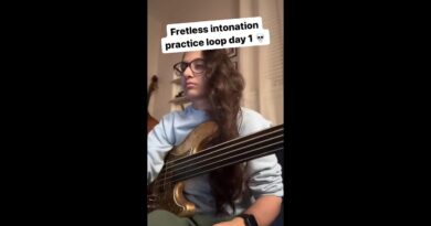 GET STARTED ON FRETLESS BASS! ????????