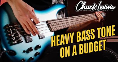 HEAVY Modern Metal Bass Tone for Under $1,000!