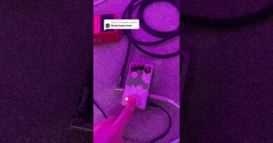 Hofner bass tone #shorts #hofnerbass #hofner #indierock #indiemusic #psychrock #indiepop #bassguitar