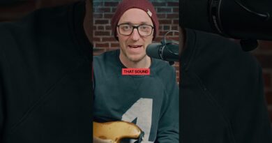 How to get the ROYAL BLOOD bass sound! ???????? #royalblood #figureitout #mikekerr #octave #basseffects