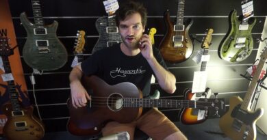 IBANEZ AVNB1E BV ACOUSTIC BASS GUITAR - QUICK REVIEW