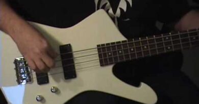 Ibanez Iceman ICB200EX Bass Guitar Review Scott Grove