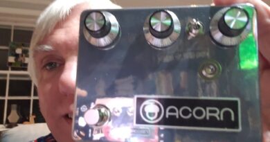 Klon Clone from Acorn Amplifiers in Atlanta