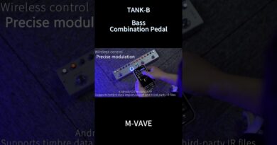M-VAVE Bass Combination Pedal Effector--TANK-B