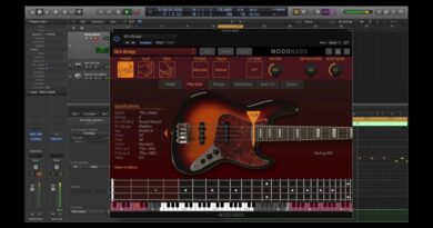 MODO BASS - Play Style