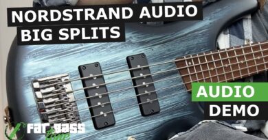 Nordstrand Big Splits Soapbar Pickups Demo