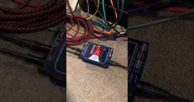 Our Bass Recording Setup ???? #bass #instrument #music