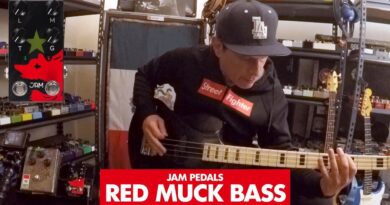 Pedals and Effects: Red Muck Bass by JAM Pedals