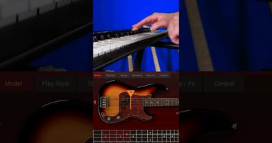 Real Bass vs. Virtual Bass #bass #vst #bassguitar