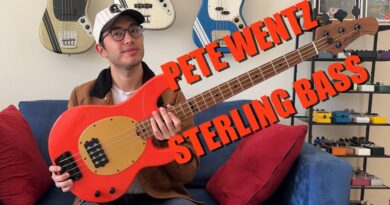 Sterling Pete Wentz Signature StingRay Review