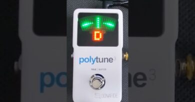 TC Electronics PolyTune 3 | Bass Test (short) #bass #tuner #basstuner