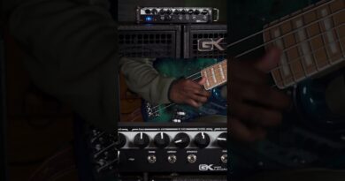 The Perfect Slap Bass Tone!! #bassplayer #bassplaying #legacy800 #frankbrunot #slapbass #bassamp