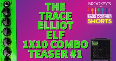 The Trace Elliot Elf 1x10 Combo Review Teaser #shorts #trace #tracelliotelf