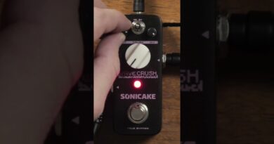 The Wavecrush pedal