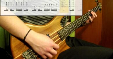 Tool - Sober (Bass Cover) (Play Along Tabs In Video)