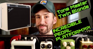 WTF... how is this DIGITAL amp *SUCH* a good PEDAL PLATFORM?!?!