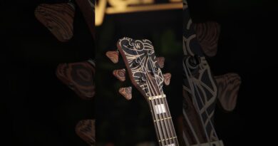 Warwick Idolmaker Custom Shop #24-4423 | w. Custom Finish