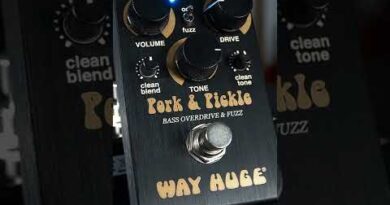 Way Huge Smalls Pork & Pickle Bass Overdrive & Fuzz
