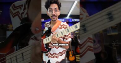 Why This Bass is a Hidden Gem!