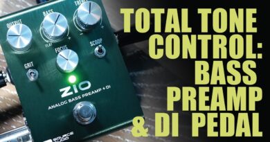 ZIO Analog Bass Preamp + DI: Official Source Audio Demo