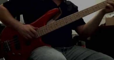 bass playing tips and tricks - beginner to advanced