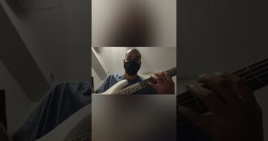 rogue lx205b 5-string Bass series III review