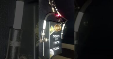 settings and equipment with which I achieved the tone of Stevie Ray Vaughan Riviera Paradise