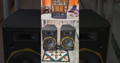 12" Single Speaker Box Making #dj #mobiledjsetup #sound #djcabinet #bass #audiomixer #fullsetup