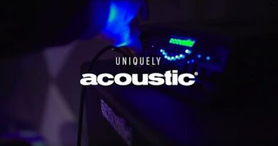 Acoustic Amplification - Class D NEO Bass Amps
