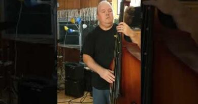 Acoustic Image String Bass Amp