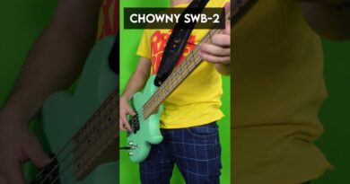 All my basses in one video #bass #bassguitar