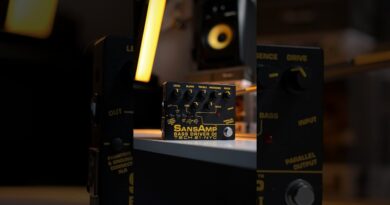 BEST bass preamp. Change my mind.  #bass #basspedal #sansamp