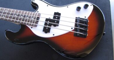 Bass Musician Magazine Reviews - Solid Body 4 String Fretted U•BASS®