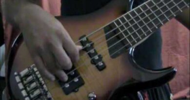Bass solo techniques (4 finger plucking technique) BASS GUITAR ACADEMY - BASS GUITAR MASTERY