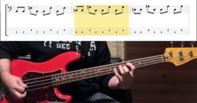 Blink 182 - What's My Age Again ( Bass Cover Tab in Video )