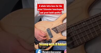 Cort Artisan B5 Element 5-String Bass Tone Demo #shorts #cortbass #cortartisan