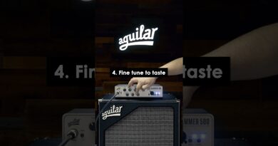 Dialing in a bluesy tone with the Tone Hammer 500!