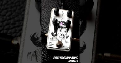 Dirt Haggard Audio Gnarled Bass Distortion Pedal #basspedals #distortion #pedalboard