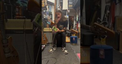 Discover the ultimate bass fuzz with the Bass Big Muff! ???????? #guitar #guitarist #pedal