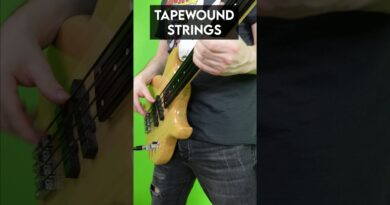 Flatwound vs. Tapewound strings on fretless bass! #bass #bassguitar