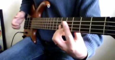 Flea's Technique - Beginners Slap Bass Lesson - Higher Ground Chili Peppers - Nick Weiss Music