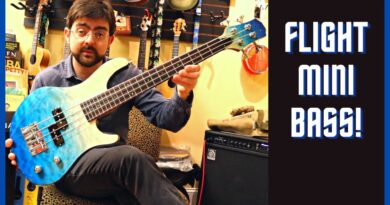 Flight Mini Bass TBL Demo and Review