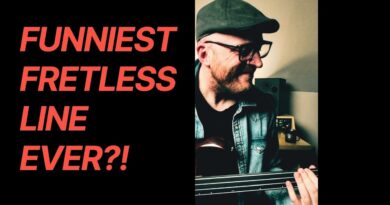 Fretless. Bass. FUN  ????????????